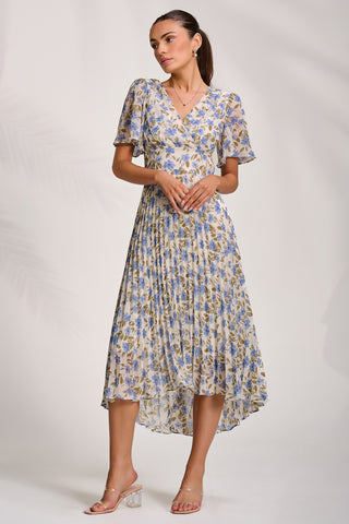Printed Chiffon Pleated Maxi Dress, Blue Floral