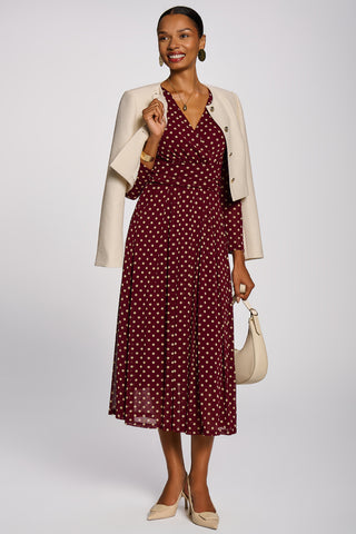 Long Sleeve Print Mesh Maxi Dress, Burgundy Spot