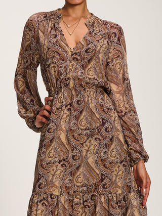 Long Sleeve Paisley Chiffon Maxi Dress, Brown Multi