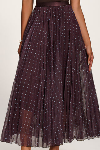Spotty Crinkle Mesh Maxi Skirt, Brown Spot