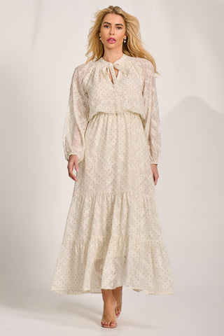Textured Chiffon Long Sleeve Maxi Dress, Cream Spot