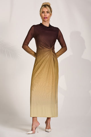 Petite Long Sleeve Mesh Maxi Dress, Brown Multi
