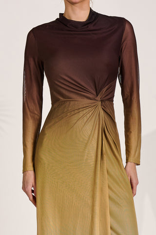 Petite Long Sleeve Mesh Maxi Dress, Brown Multi