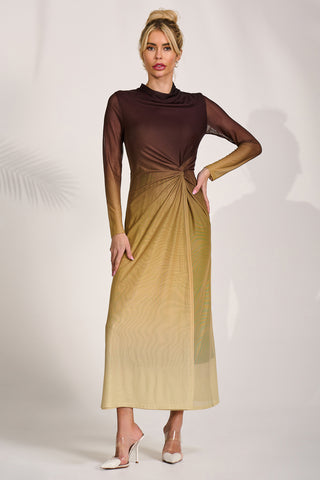Petite Long Sleeve Mesh Maxi Dress, Brown Multi