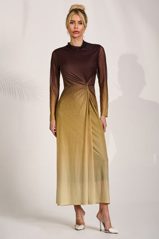 Petite Long Sleeve Mesh Maxi Dress, Brown Multi